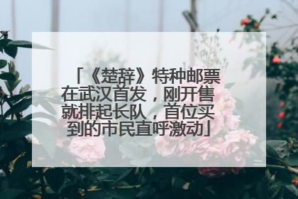 《楚辞》特种邮票在武汉首发，刚开售就排起长队，首位买到的市民直呼激动