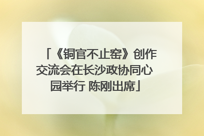 《铜官不止窑》创作交流会在长沙政协同心园举行 陈刚出席