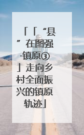 「“县”在图强·镇原③」走向乡村全面振兴的镇原轨迹