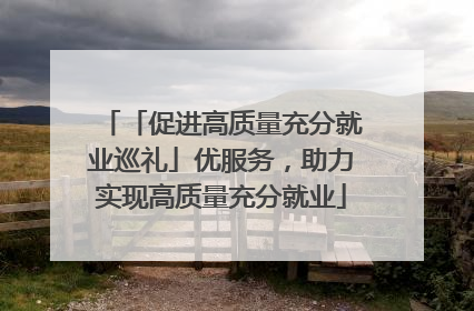 「促进高质量充分就业巡礼」优服务，助力实现高质量充分就业
