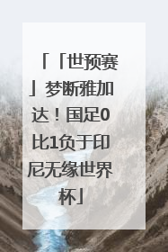 「世预赛」梦断雅加达！国足0比1负于印尼无缘世界杯