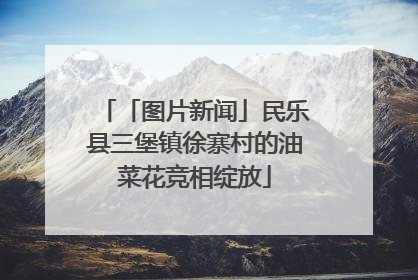 「图片新闻」民乐县三堡镇徐寨村的油菜花竞相绽放