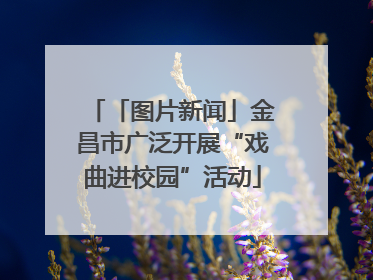 「图片新闻」金昌市广泛开展“戏曲进校园”活动
