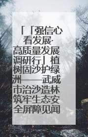 「强信心 看发展·高质量发展调研行」植树固沙护绿洲——武威市治沙造林筑牢生态安全屏障见闻