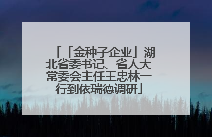 「金种子企业」湖北省委书记、省人大常委会主任王忠林一行到依瑞德调研