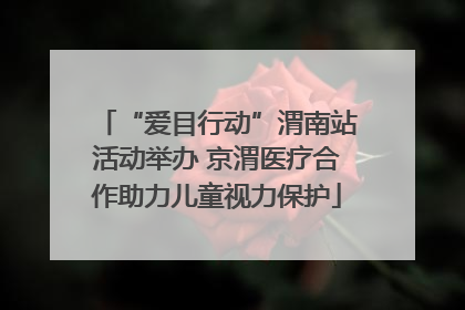 “爱目行动”渭南站活动举办 京渭医疗合作助力儿童视力保护