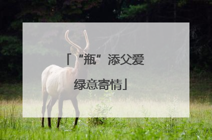 “瓶”添父爱 绿意寄情