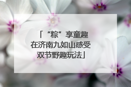 “粽”享童趣 在济南九如山感受双节野趣玩法