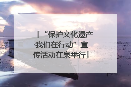 “保护文化遗产·我们在行动”宣传活动在泉举行