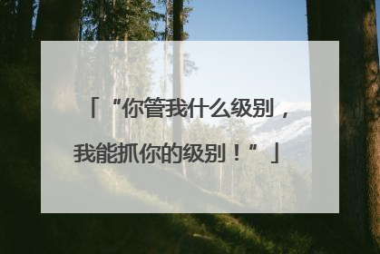 “你管我什么级别，我能抓你的级别！”