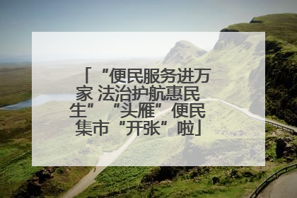 “便民服务进万家 法治护航惠民生”“头雁”便民集市“开张”啦