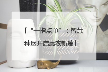 “一指点单”：智慧种烟开启惠农新篇
