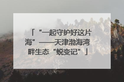“一起守护好这片海”——天津渤海湾畔生态“蜕变记”