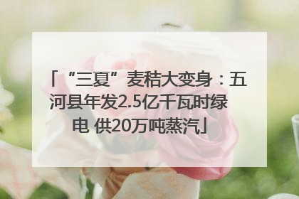 “三夏”麦秸大变身：五河县年发2.5亿千瓦时绿电 供20万吨蒸汽
