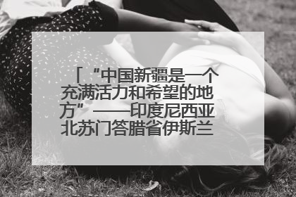 “中国新疆是一个充满活力和希望的地方”——印度尼西亚北苏门答腊省伊斯兰教代表团参访新疆