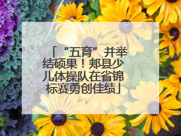 “五育”并举结硕果！郏县少儿体操队在省锦标赛勇创佳绩