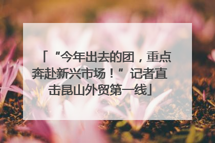 “今年出去的团，重点奔赴新兴市场！”记者直击昆山外贸第一线
