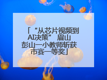 “从芯片视频到AI决策” 眉山彭山一小教师斩获市赛一等奖
