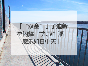“双金”于子迪新星闪耀 “九冠”潘展乐如日中天