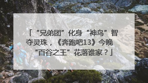 “兄弟团”化身“神鸟”智夺灵珠，《奔跑吧13》今晚“百谷之王”花落谁家？