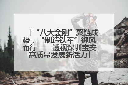 “八大金刚”聚链成势，“制造铁军”御风而行——透视深圳宝安高质量发展新活力