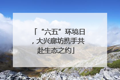“六五”环境日，大兴廊坊携手共赴生态之约