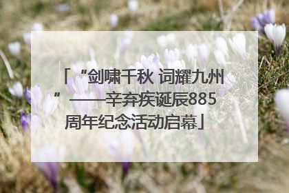“剑啸千秋 词耀九州”——辛弃疾诞辰885周年纪念活动启幕