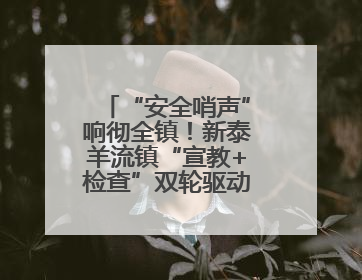 “安全哨声”响彻全镇！新泰羊流镇“宣教+检查”双轮驱动筑牢安全防线