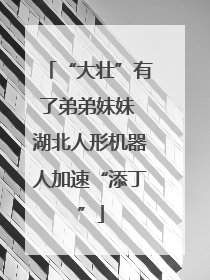 “大壮”有了弟弟妹妹 湖北人形机器人加速“添丁”
