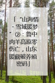 “山海情・雪域援梦”②：鲁中肉羊高原零伤亡，山东援藏破养殖密码