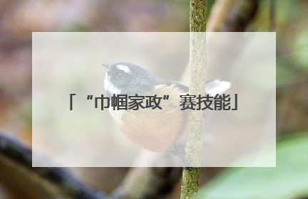 “巾帼家政”赛技能