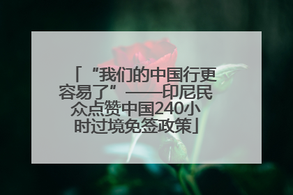 “我们的中国行更容易了”——印尼民众点赞中国240小时过境免签政策