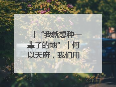 “我就想种一辈子的地”｜何以天府，我们用粮食作答②