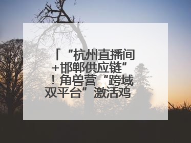 “杭州直播间+邯郸供应链”！角兽营“跨域双平台”激活鸡泽产业新动能