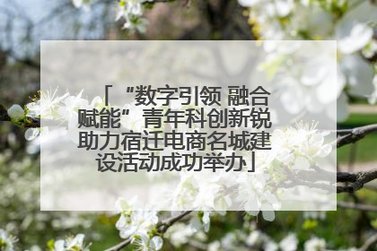 “数字引领 融合赋能”青年科创新锐助力宿迁电商名城建设活动成功举办