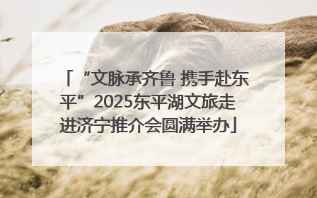 “文脉承齐鲁 携手赴东平”2025东平湖文旅走进济宁推介会圆满举办