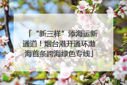 “新三样”添海运新通道！烟台港开通环渤海首条跨海绿色专线