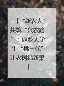 “新农人”共筑“兴农路”：返乡大学生“桃三代”让老树结新果
