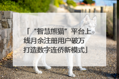 “智慧熊猫”平台上线月余注册用户破万 打造数字连侨新模式