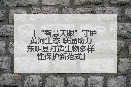 “智慧天眼”守护黄河生态 联通助力东明县打造生物多样性保护新范式