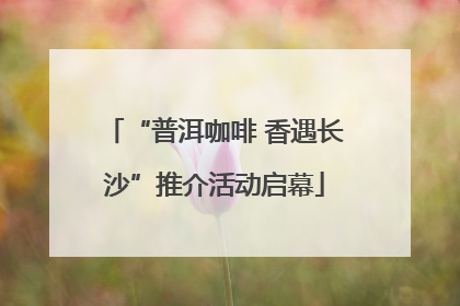 “普洱咖啡 香遇长沙”推介活动启幕