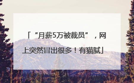 “月薪5万被裁员”，网上突然冒出很多！有猫腻