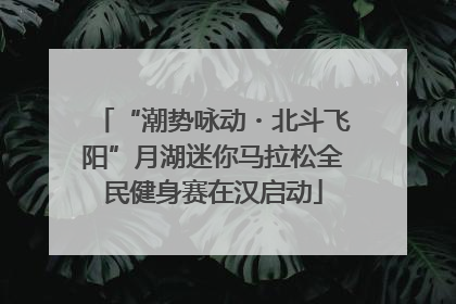 “潮势咏动・北斗飞阳”月湖迷你马拉松全民健身赛在汉启动