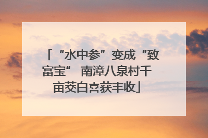 “水中参”变成“致富宝” 南漳八泉村千亩茭白喜获丰收