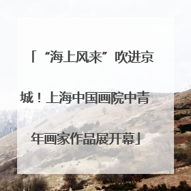 “海上风来”吹进京城！上海中国画院中青年画家作品展开幕