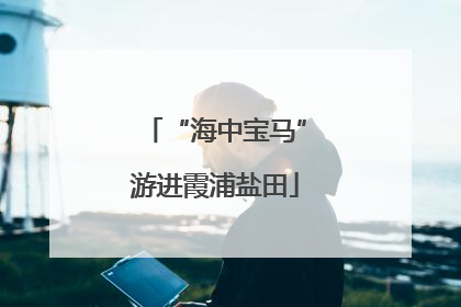 “海中宝马”游进霞浦盐田