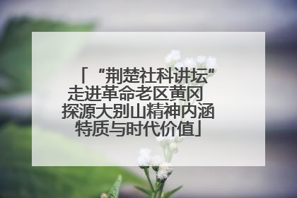 “荆楚社科讲坛”走进革命老区黄冈 探源大别山精神内涵特质与时代价值