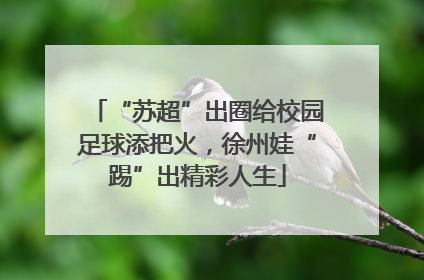 “苏超”出圈给校园足球添把火，徐州娃“踢”出精彩人生