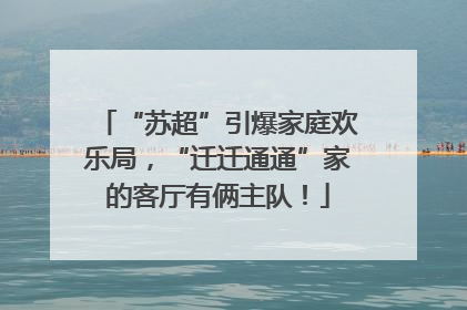 “苏超”引爆家庭欢乐局，“迁迁通通”家的客厅有俩主队！