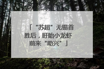 “苏超”无锡首胜后，盱眙小龙虾前来“助兴”